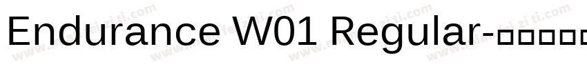 Endurance W01 Regular字体转换